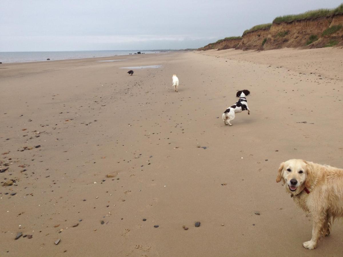 Cosy Dog Friendly Sleeps 4 Bridlington